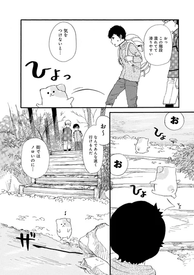 『きのこいぬ』 13776640.webp