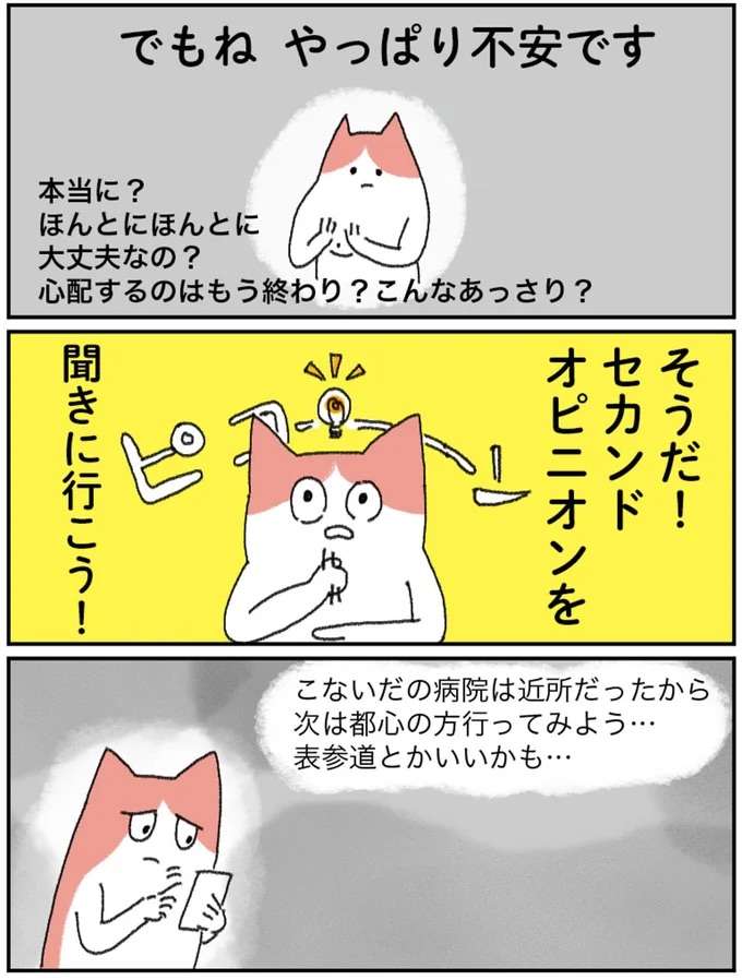 「胸のしこり」が不安でセカンドオピニオンへ。検査のすえ先生の診断は...／アラサー会社員の乳がんの備忘録 arasa2_1.jpeg