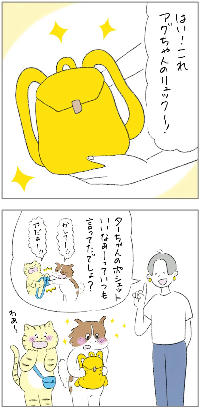 リュックをもらって大喜び！ 元ノラ猫と元保護犬が散歩に出かけたら...／元ノラ猫と元保護犬、ふたりは親友 01-02.png