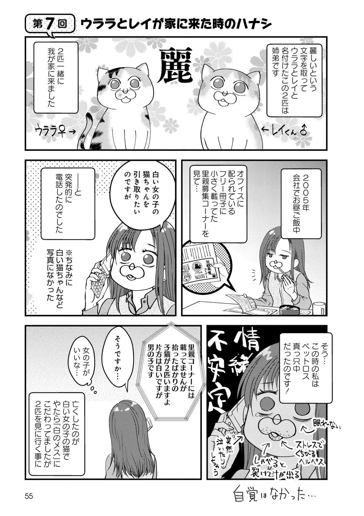 里親募集で出会った姉弟の子猫ちゃん。「2匹はダメ」と家族に言われ悩んだ結果／猫とハスキーとハマジ1 1.jpg