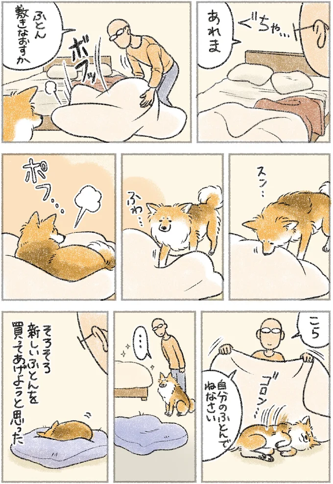 『犬を揉む　-ぺちょら... ときどき 帰宅拒否-』 103.webp
