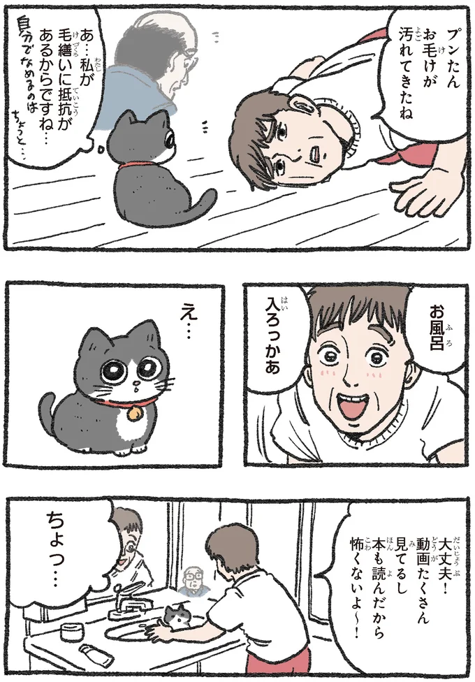 『ねこに転生したおじさん1〜3』 81.webp