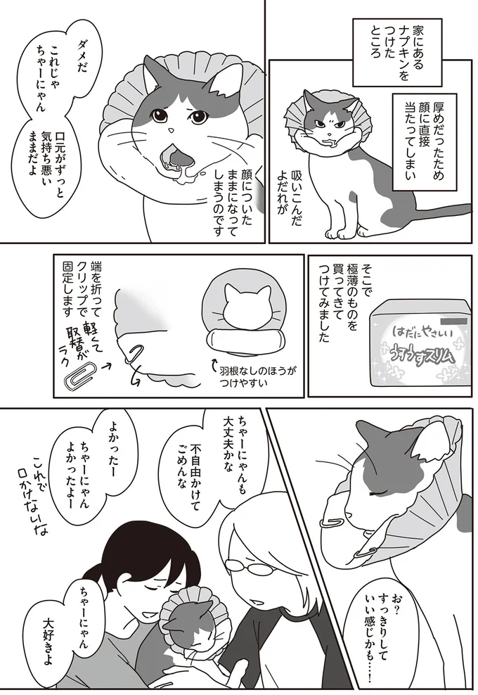 ガンに罹患した愛猫の看病。少しでも快適になるよう飼い主は懸命に...／世界一幸せな飼い主にしてくれた猫 16-09.png