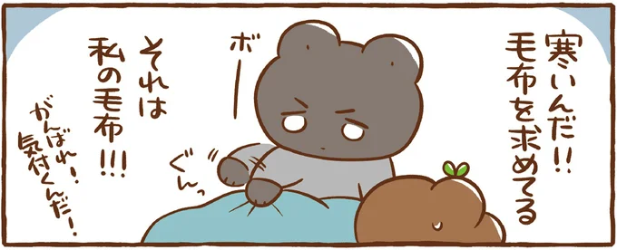 夫よ、気づいて...ある夜に起きた「妻の毛布乗っ取り未遂」/あのね、今日はこんなこと