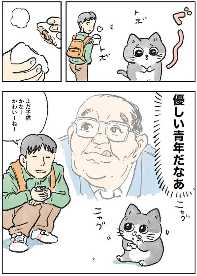 なぜ私が猫に⁉でも、体も軽いしみんな親切だから悪くないかも／ねこに転生したおじさん1 14.webp
