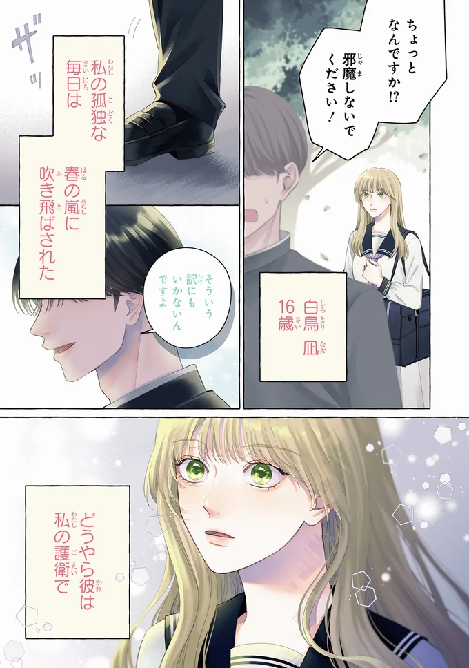 母を亡くして大企業社長の父のもとへ。いきなり社長令嬢になった平凡な女子高生の苦悩／護衛彼氏のウラオモテ 01-01.png