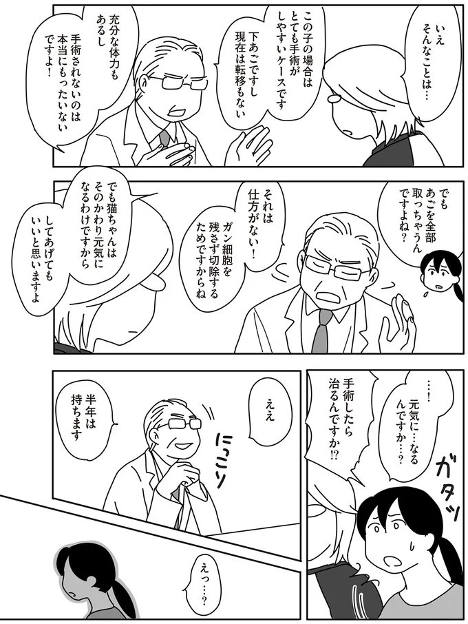 『世界一幸せな飼い主にしてくれた猫』 12-02.png