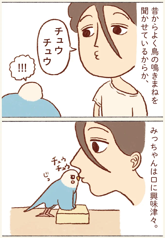 『プジェ日記！ 幸せを運ぶインコのみっちゃん』 61.webp