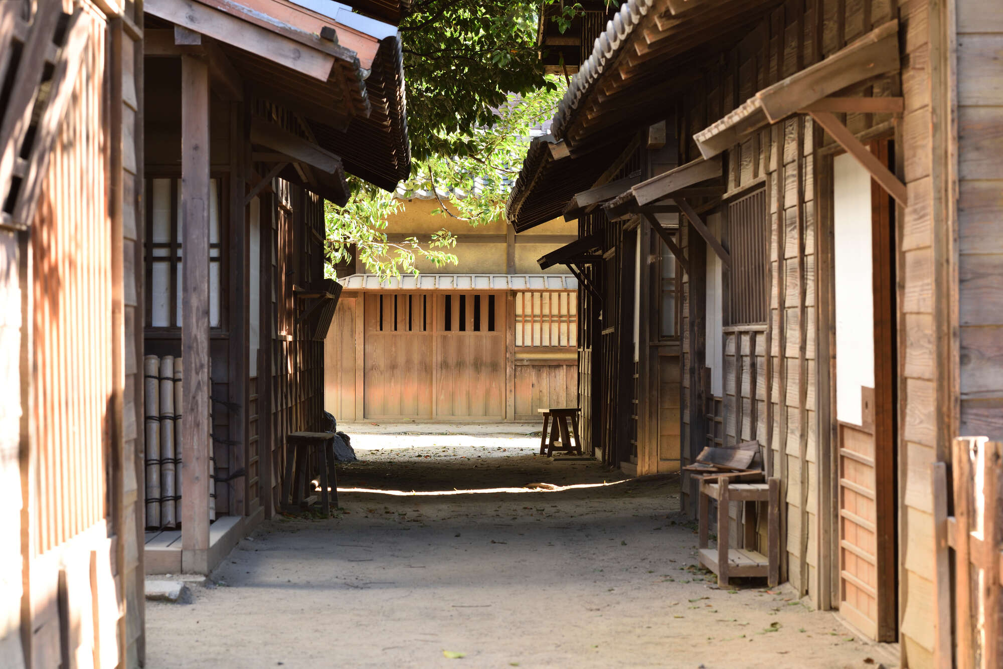 【ばけばけ】「持てる側」になったトキ(髙石あかり)の一方で...「正しい努力」を続けるサワ(円井わん)への共感と願い