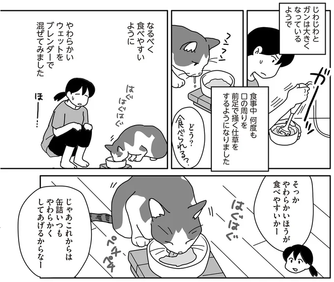 『世界一幸せな飼い主にしてくれた猫』 08-05.png