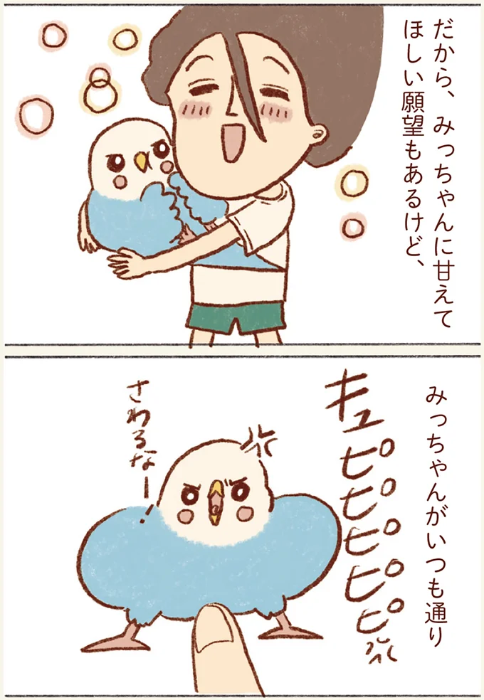 『プジェ日記！ 幸せを運ぶインコのみっちゃん』 142.webp