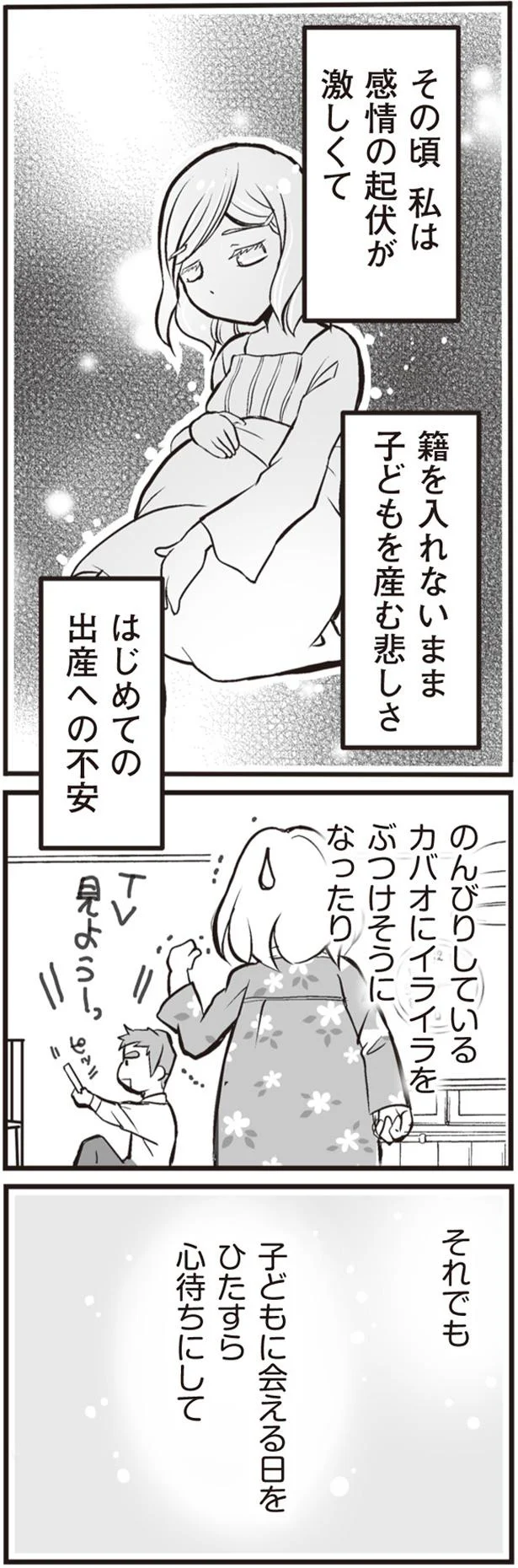 「この出生届、受理できません」。出産後、待っていた「悲しい現実」 ／臨月に自分がシタ側だと判明いたしました 51.png