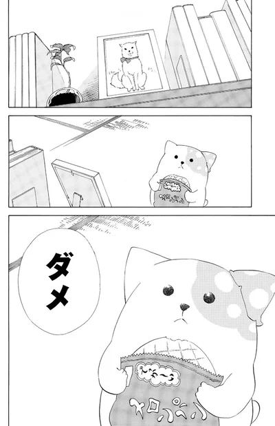 『きのこいぬ』 13765858.webp