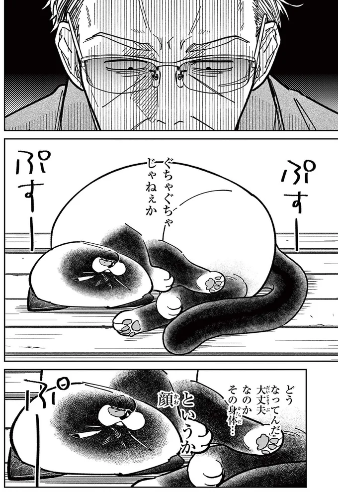 自分の家のようにくつろぐ野良猫。無防備な姿をよく観察すると...／オヤジとにゃん吉 16211536.webp