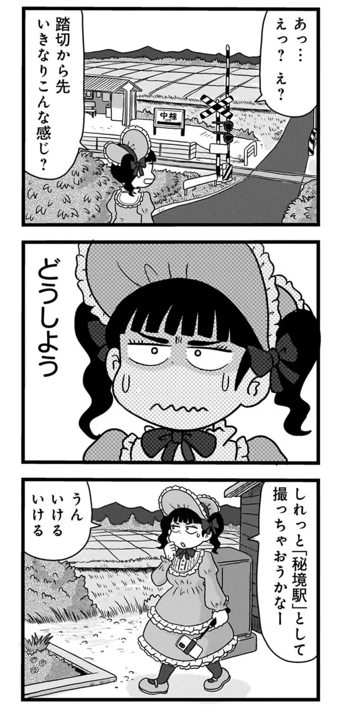 撮影で訪れる「無人駅女子」も唖然。普通の住宅地の先にある「ジェネリック秘境駅」／駅はあるうちに行け 15844662.webp