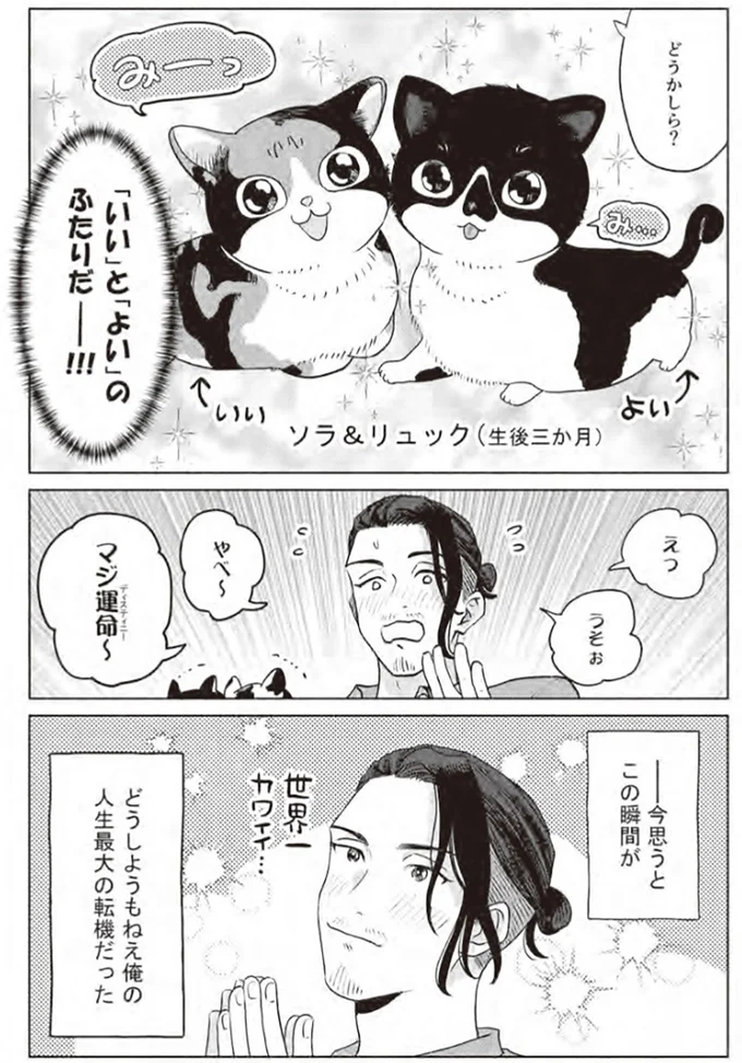 『借金1000万作曲家の人生を変えてくれた猫の話』 25.webp