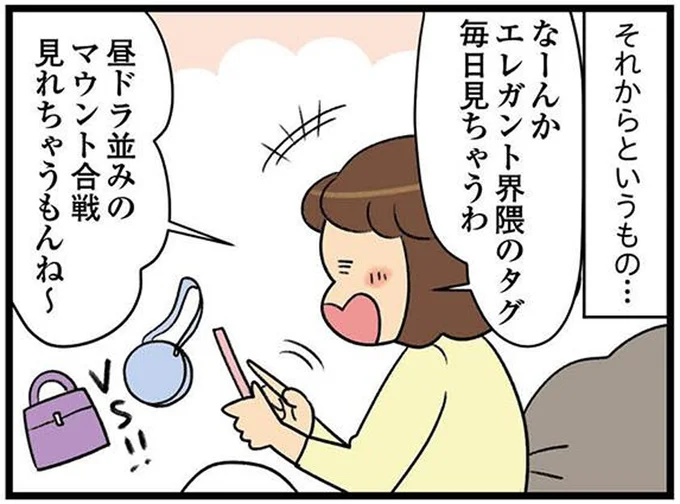 『150万のバッグが欲しい主婦の 夫に内緒の買い物日記』