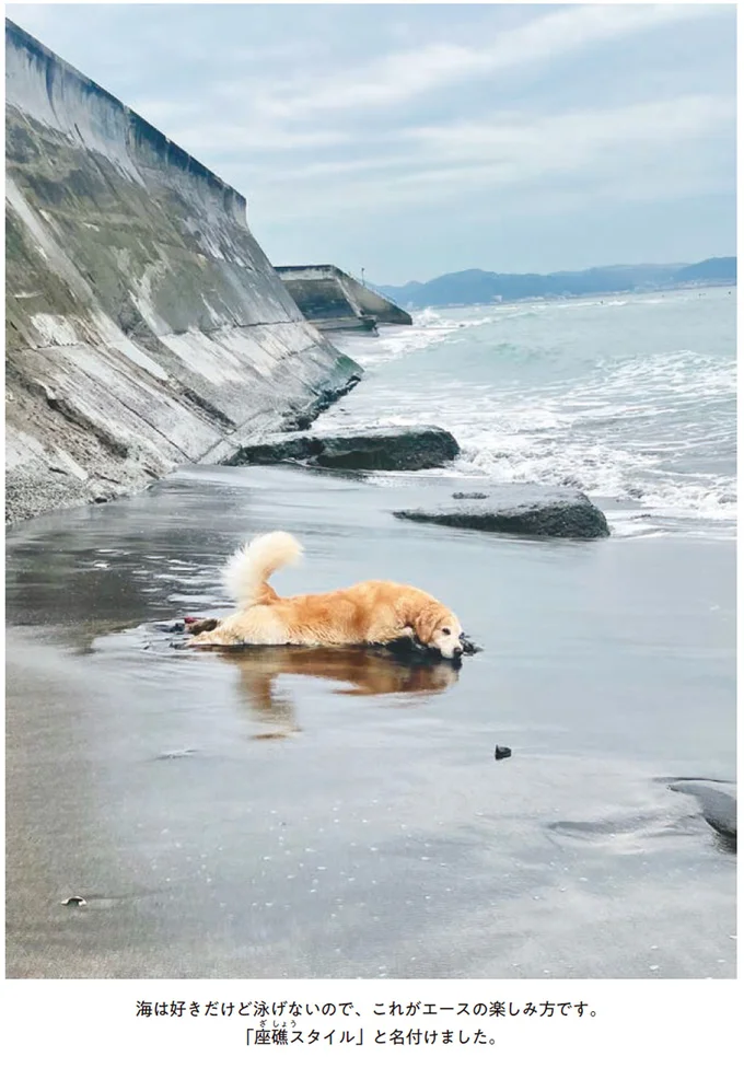 『エースくんとヨバンさん 犬とアヒルの友情物語』 95.webp