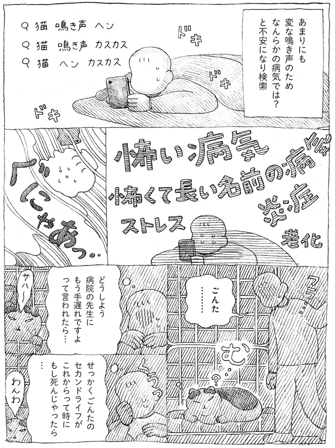 「ニャー」と鳴いたことがない愛猫。飼い主の心配を機に声変わりした結果...え!?／野良猫ごんた、家猫になる 16108705.webp