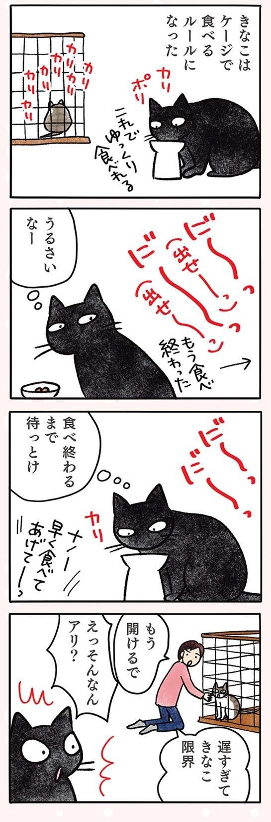 ニヤリ。猫が同じカリカリに飽きて「気付いたこと」／黒猫ナノとキジシロ猫きなこ kuroneko_nano6-3.jpg