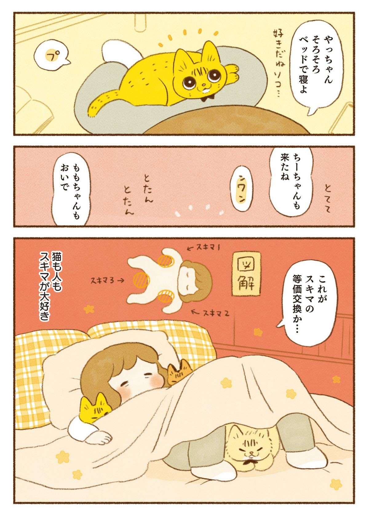 「これがスキマの等価交換」猫と一緒に寝る至福の時／しまねこ3姉妹と暮らしています 13.jpg