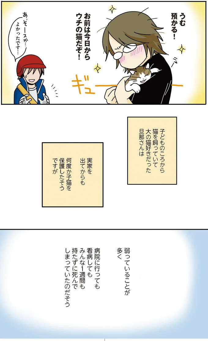 新聞配達員から届けられた小さな命。「今日からウチの猫だぞ」／世界一幸せな飼い主にしてくれた猫 01-03.png