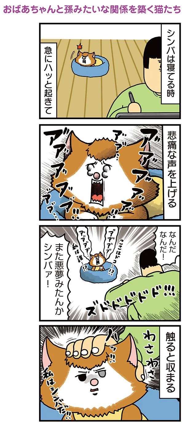 家族のようになった猫たち...時折パニックになる猫に救世主が／まめきちまめこニートの日常 3 mameko30_1.jpeg