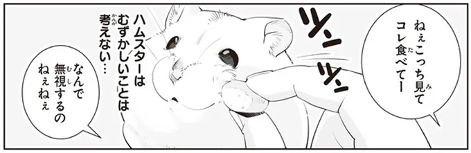 「あーもうしつこいっ」飼い主のかまって攻撃にハムスターが見せた「機転」／はむはむづくし2