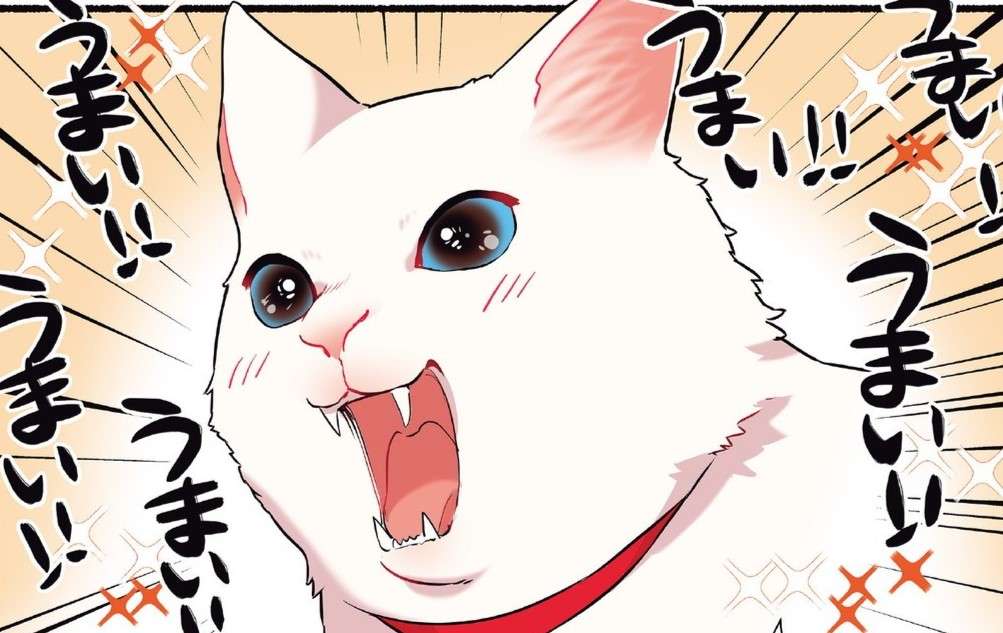 「朝5時(汗)！」元ノラの愛猫にウェットフードを初めてあげたらすごいことに／愛されたがりの白猫ミコさん