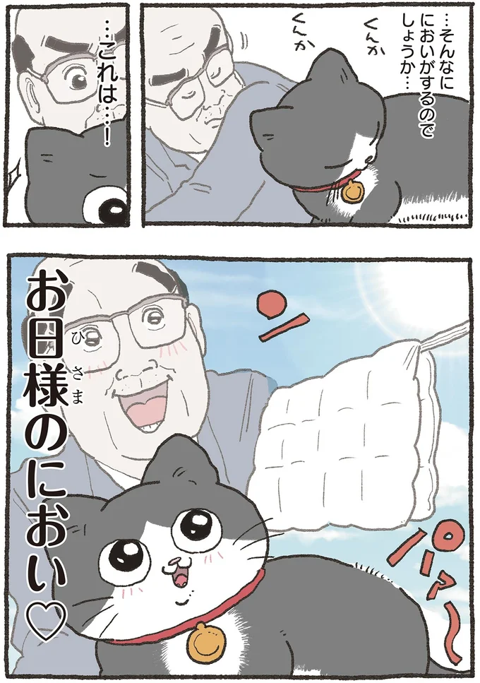 『ねこに転生したおじさん 6』 01-02.webp