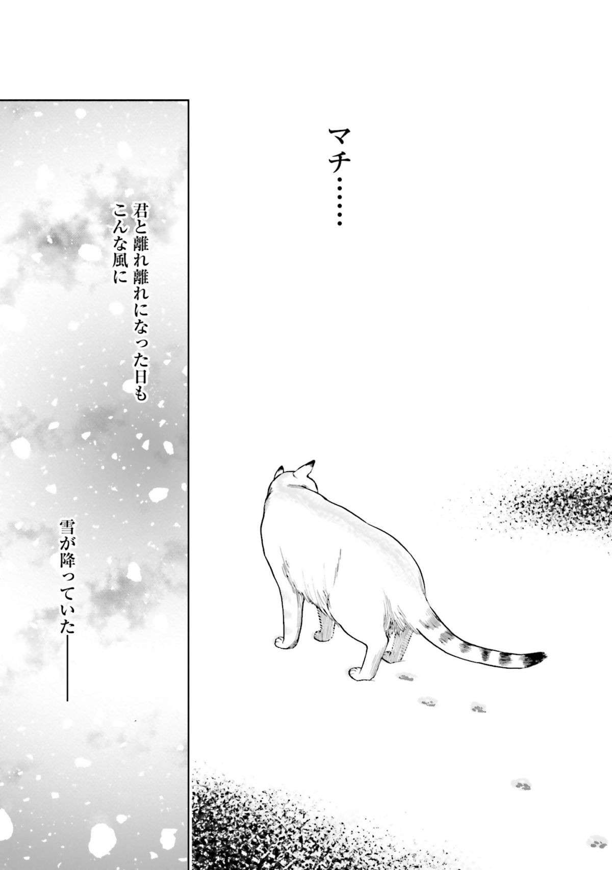 「５年生きてたら、かなりのラッキー」なノラ猫の一生。猫好きの心に刺さる感動作／ゴジュッセンチの一生 1.jpg