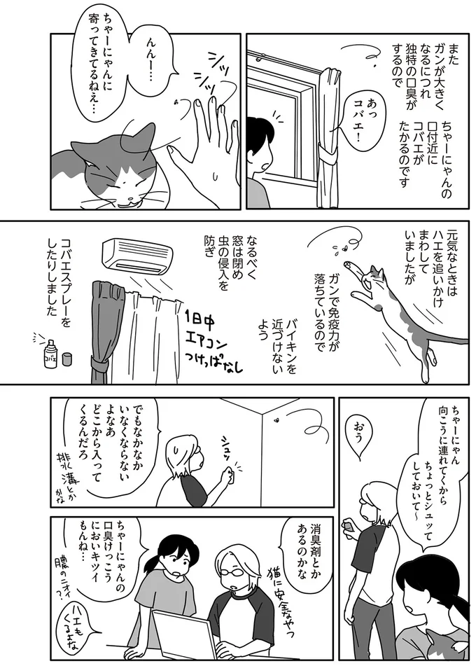 『世界一幸せな飼い主にしてくれた猫』 14-03.png