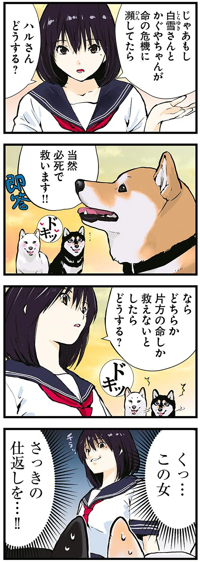 面倒くせぇ...柴犬の「聖地巡礼」。忠犬なら一度は憧れるシチュエーションとは／世界の終わりに柴犬と 4.png