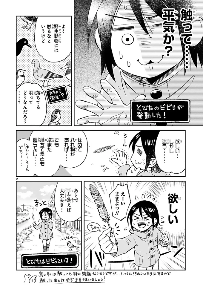 まいにち鳥びより 3-2.png
