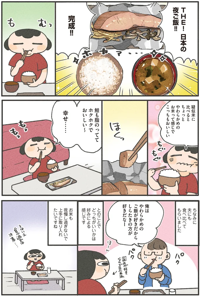 「お米が好き‼」でもダイエットするために試したこと／食べるのを1回も我慢せずに30キロ痩せました！ 13268423.webp