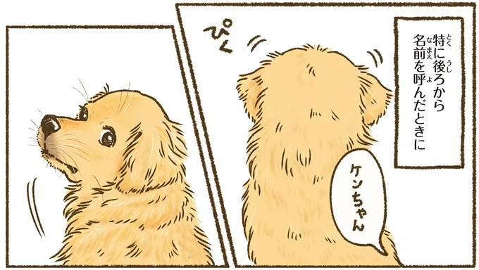 なんでそこで!? 愛犬のレトリバーがいちいち寝にくいところで...／今日もゴールデンレトリバーに癒されて 15710966.webp