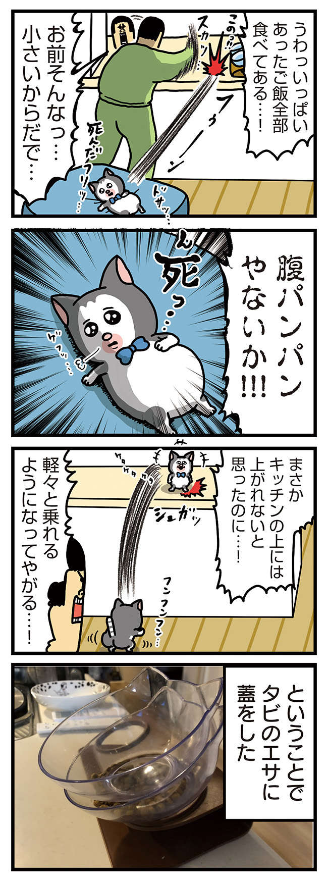 「パンパンやないか」新入り子猫のすさまじいアレ／まめきちまめこニートの日常 こまちとタビ 3 32.jpg