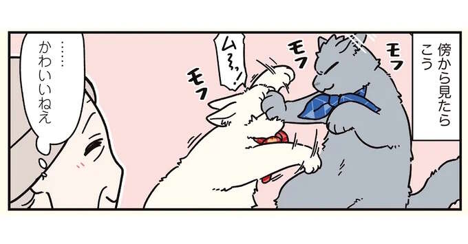 「かわいいねぇ」傍から見たら微笑ましい、猫兄弟の喧嘩／ブラック企業の社員が猫になって人生が変わった話8