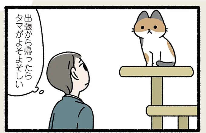 「ねこは三年の恩を三日で忘れる」3日会わないだけでねこが冷たい。でも、ねこの言い分は...／ねことわざ