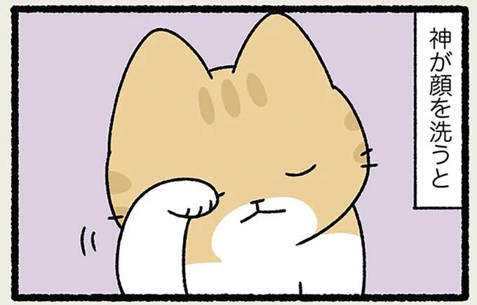 「ねこが顔を洗うと雨が降る」村に古くから伝わる雨乞いの儀式。祈るとやってきたのは!?／ねことわざ