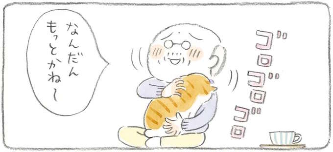 「しょーのないヤツめ～」縁側でくつろぐ猫とじいちゃん。ぽかぽか陽気に誘われて／ねことじいちゃん2