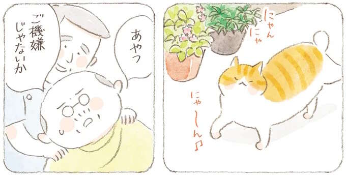 「ご機嫌じゃないか」出先で見かけた猫。仲のいい猫も現れて...／ねことじいちゃん11