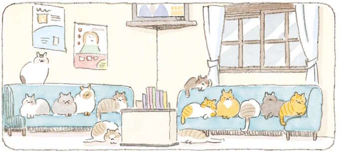 「猫ファーストの島なんで...」診療所の待合室が猫でいっぱいのワケ／ねことじいちゃん11