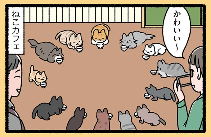 『円卓の騎士なねこ 』アーサー王を中心に円卓の騎士たちが集まったのは...？／ねこむかしばなし