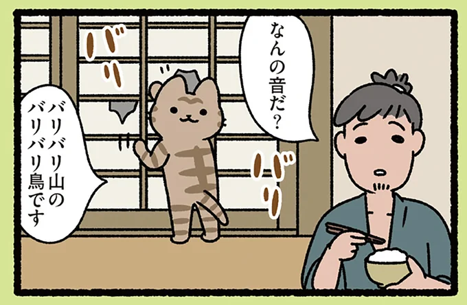 『カチカチ山とバリバリ山』「なんの音だ？」飼い主に尋ねられたねこは...？／ねこむかしばなし