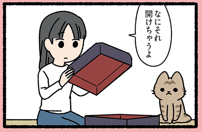 『玉手箱なねこ』ねこに止められたのに箱を開け、頭が真っ白になったワケ／みっけ！ねこむかしばなし