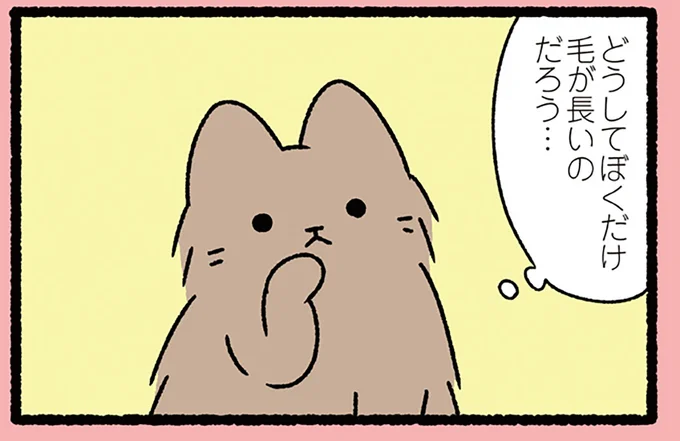 『みにくいアヒルの子なねこ』どうしてぼくだけ...兄弟との違いに気づいたねこは!?／ねこむかしばなし