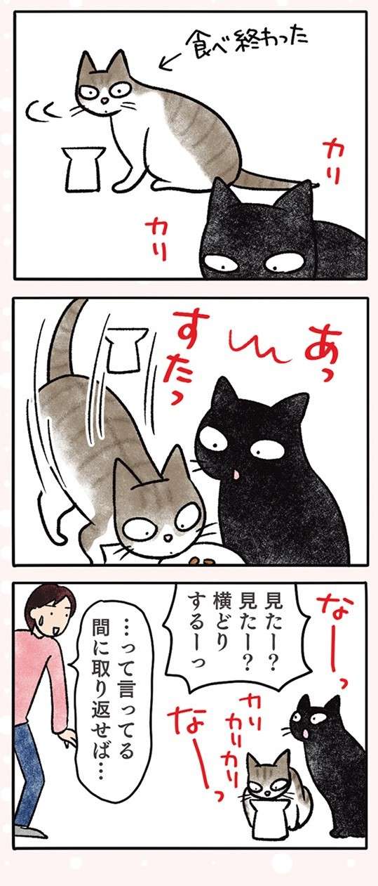 ニヤリ。猫が同じカリカリに飽きて「気付いたこと」／黒猫ナノとキジシロ猫きなこ kuroneko_nano6-2.jpg