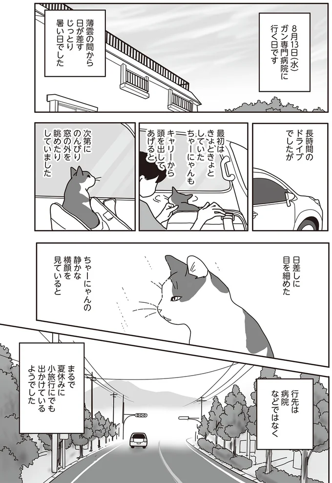 『世界一幸せな飼い主にしてくれた猫』 09-01.png
