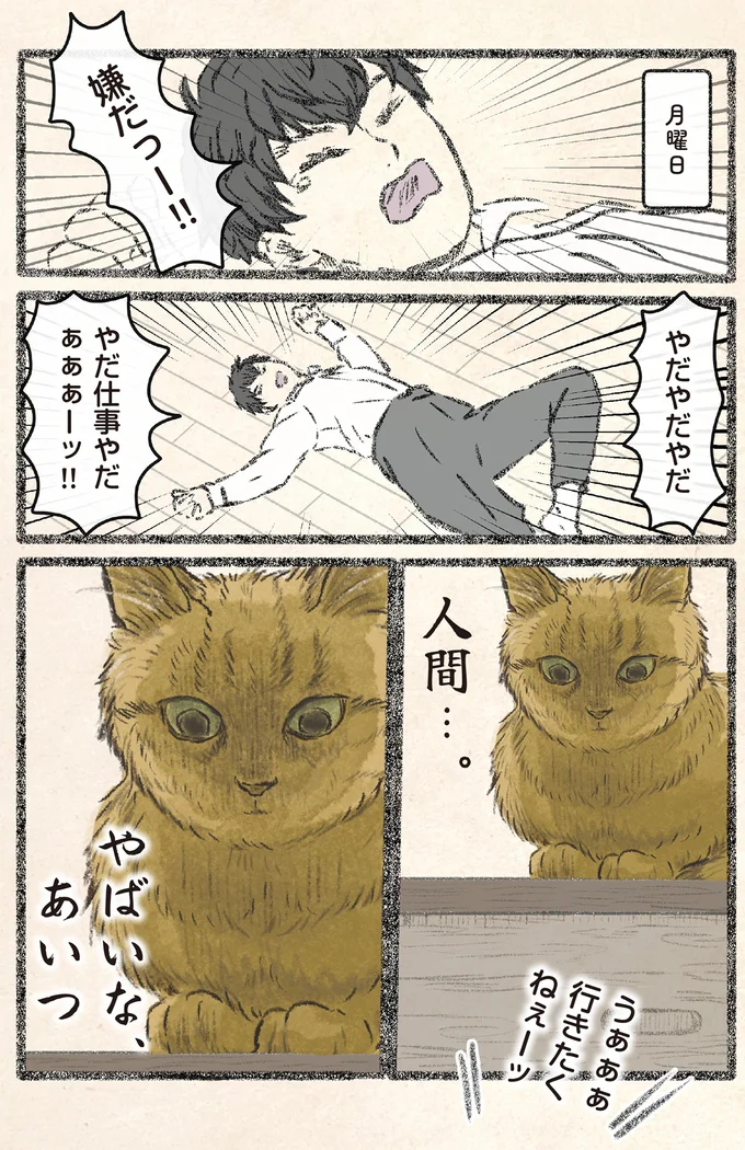 『今日もネコ様の圧が強い2』 11.webp